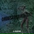 lilpsilocybin