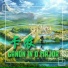 胡若杰