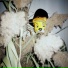 inYourdream