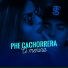 Mc Phe Cachorrera