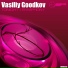 Vasiliy Goodkov