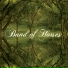 Band Of Horses