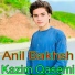 Anil Bakhsh, Kazim Qasemi