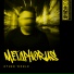Metaphorus