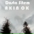 Akın Ok
