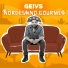 Geivs