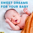 Baby Harp