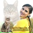 Aslam Singer Punahana feat. Aslam Singer Mewati