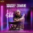 Yousef Zamani