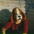 Beagle Bonnie, DJ Noe