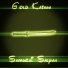 Samurai Salyan