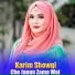 Karim Showqi