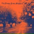 Orange Grove Massacre