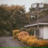 yuto oizumi, widx.
