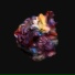 Skelet