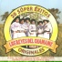 Los Reyes del Chamamé