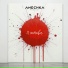 Anechka project