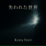 KAINA NOIRI