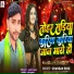 Chandan Rohi