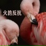 Tian Guan Ci Fu