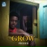 Prodii