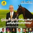 Maati Hadj