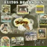 Tambora Ritmo Express
