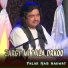 Falak Naz Marwat