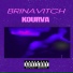 Brinavitch