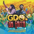 Banda GDO do Forró