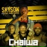 Skyson feat. Dizmo, Jhavar, Young Dee