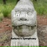 Nature's Symphony