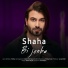 Shaha