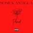 SOSICK ANTIGUA