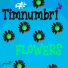 Timnumbr1