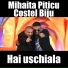 Mihaita Piticu feat. Costel Biju