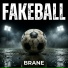 BRANE