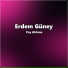 Erdem Güney
