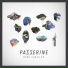 Passerine