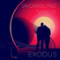 Snowblind Vision