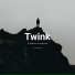 Twink