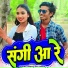 Neekamal Vaishnav, Annu Vaishnav