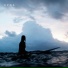 Луна, влад пиво, Anor