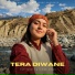 Rap Pandit, Diwan Siwan