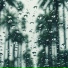 Mother Nature FX, Rain, Massage