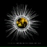 Binaural