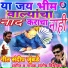 Santosh Vishwikar