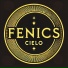 FENICS