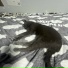 lazycat92