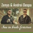 Andrei Despa, Zenys